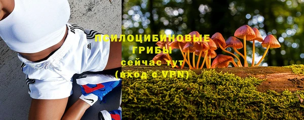 2c-b Касимов