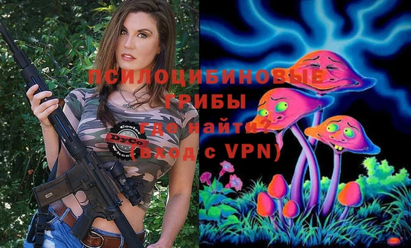 2c-b Касимов