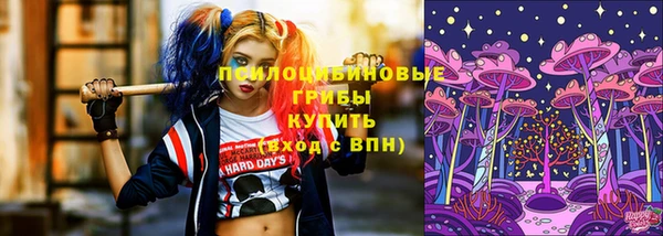 mdpv Карталы